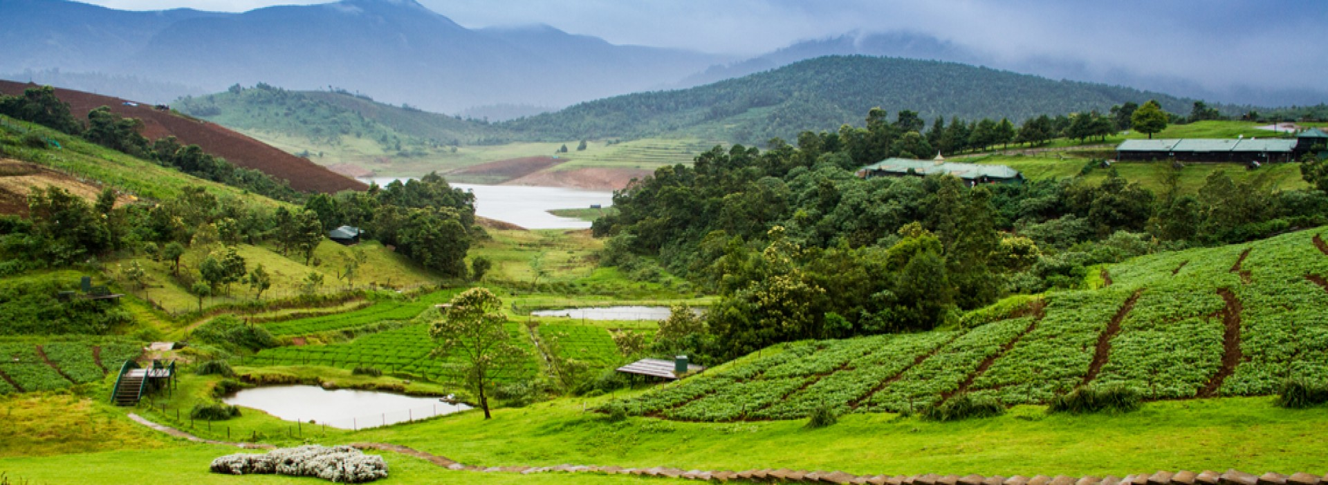 Ooty
