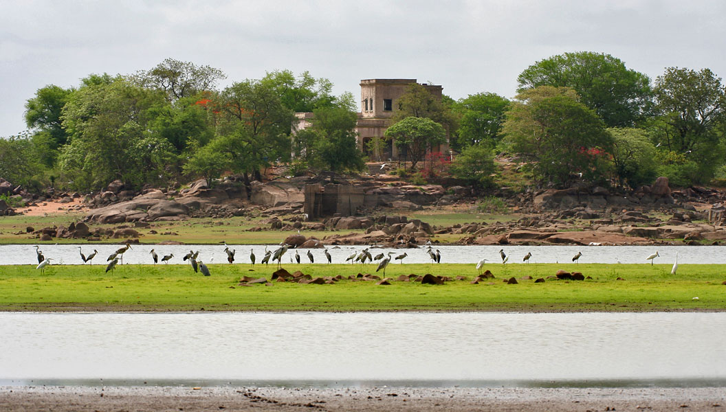 Pocharam